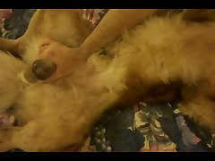 Gwen With Dog Porn