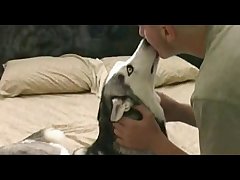Dog Princess Porn
