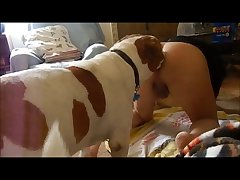Dog Titfuck Porn