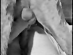 Denise Frazier Dog Porn Videos