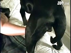 Monica Mattos Porn Horse