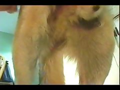 Watch Dog 2 Porn