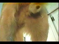 Watch Dog 2 Porn