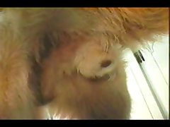 Watch Dog 2 Porn