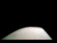 Telegram Dog Fuck Girl