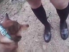 Animal And Human Have Sex
