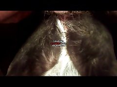 Sophia The Baddie Dog Porn
