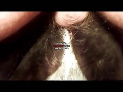 Sophia The Baddie Dog Porn