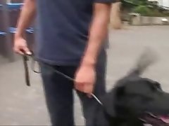 Horse Hypnosis Porn