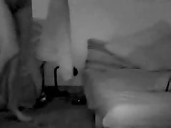 Dalmatian Dog Porn