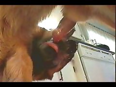 Mori Calliope Horse Porn