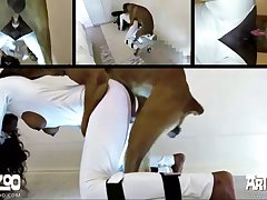 Women Having Sex With Dog Porn