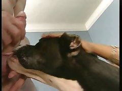 Zombie Dog Porn