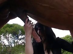 Dog Wife Porn
