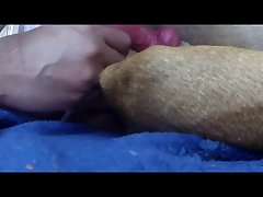 Guy Sucks Dog Porn