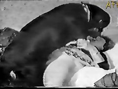Animal Sex With Wife