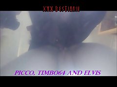 Girl Blow Horse Porn