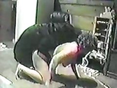dog porn