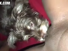 Art Of Zoo Teen Porn