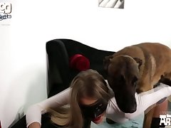 Hit Dog Porn
