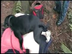 Porn Girl Fuck With Dog