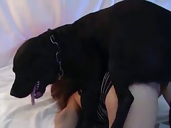 Dog Fuck Ass Women