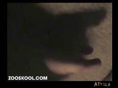 Trans Horse Dildo Porn