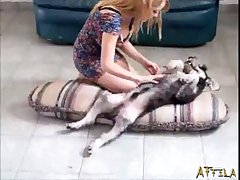 Animal Sex Costume