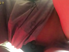 Porn Lost Dog