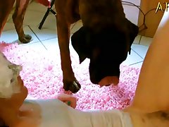 Zoofilia Porno Xxx
