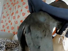 Man Fuck Male Dog Porn