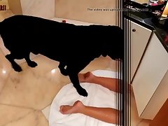 What Animal Changes Sex