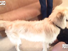 Animal And Human Sex Gif