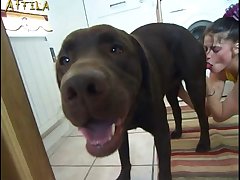 American Teen Dog Porn