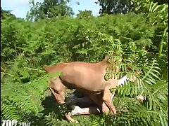 Dog Rimjob Porn