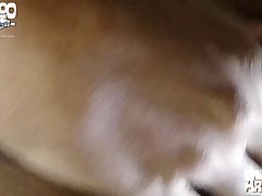 Little Zoo Hamster Cage