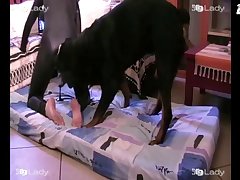 Sex Animal Girl