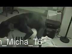 Blonde Girl Fucks Dog Porn
