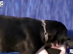 Zoo Porn Onlyfans