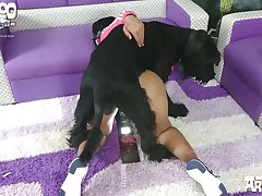 Porno Zoofilia Artofzoo
