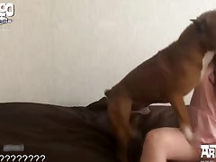 Clermont Twins Dog Porn