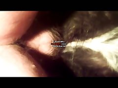 Dog Licking Owners Pussy Porn