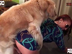 Dog Lick Girl Ass Porn