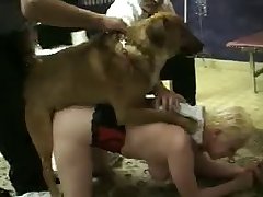 Dog Beach Porn