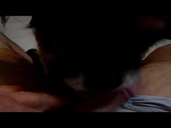 Weirdest Animal Sex