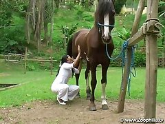 Site De Zoofilia