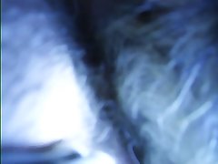 Guy Fucks Girl Dog Porn