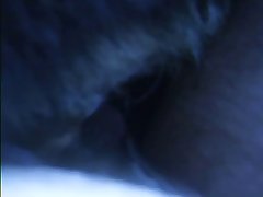 Guy Fucks Girl Dog Porn