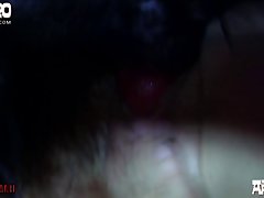 Dog And Ebony Porn