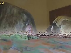 Dog Fucks Vet Porn
